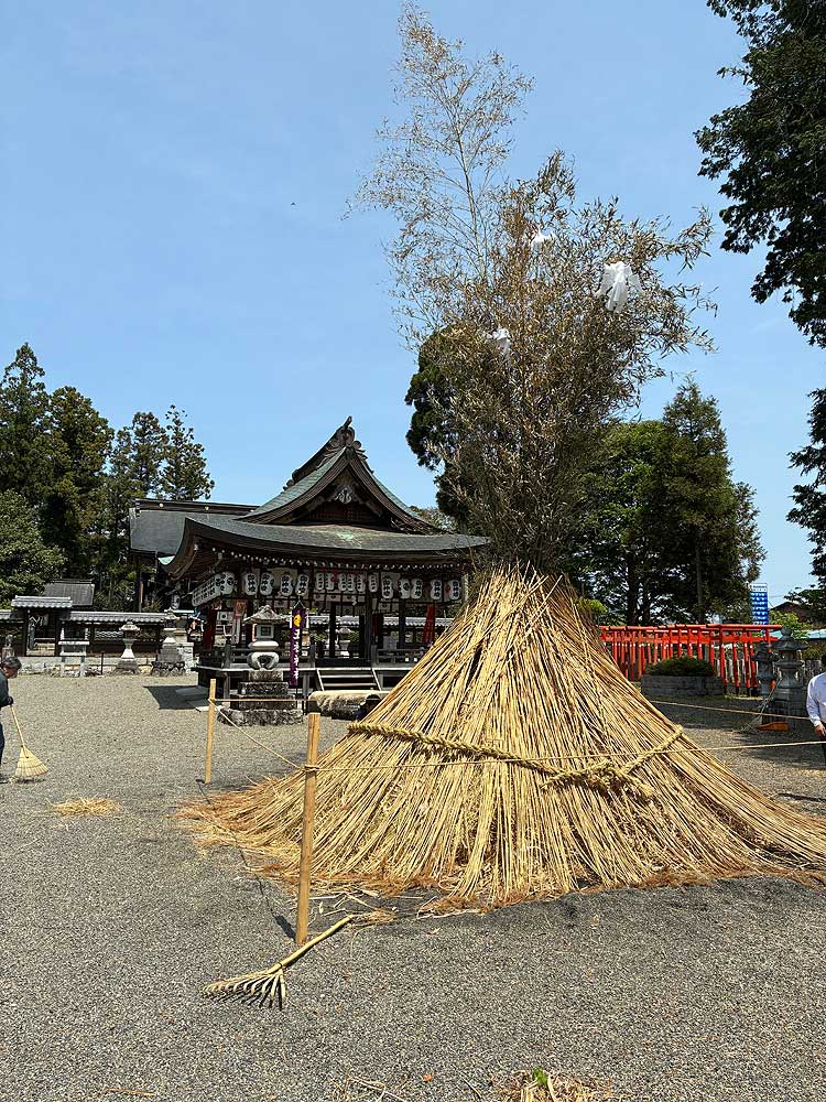 五社神社 拝殿前の大松明
